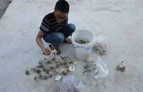 包含〡箩__I30?娠%E谡.噧?>B?7硞洌?q2?%?胶#eF嬍=痖??}阰焇?鬔?5j|?um?萪f卩辺皬G囉噬獠KN裖矤闵;/汣k>&amp;纥的词条-开云棋牌官网